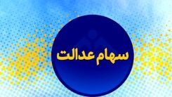آیا می شود سهام عدالت را واگذار کرد؟