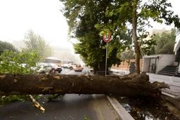  در خیابان ولیعصر تهران چه اتفاقی افتاد؟! +‌فیلم داغ 